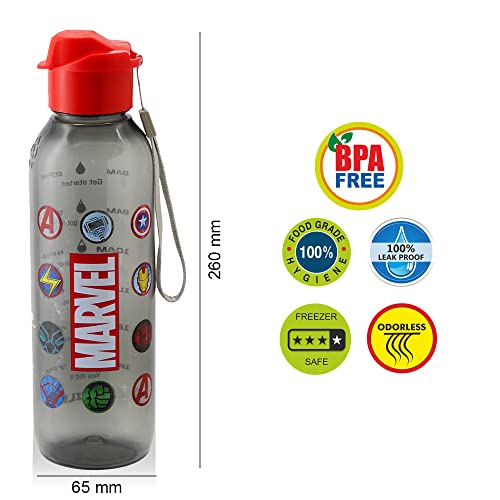 Image of SKi Homeware Trio 3 Compartment Bento Lunch /Snack Box + Sipper Bottle Combo |for Kids' School, Picnic, Sports | for Return Gifts or Party Favours- Avengers