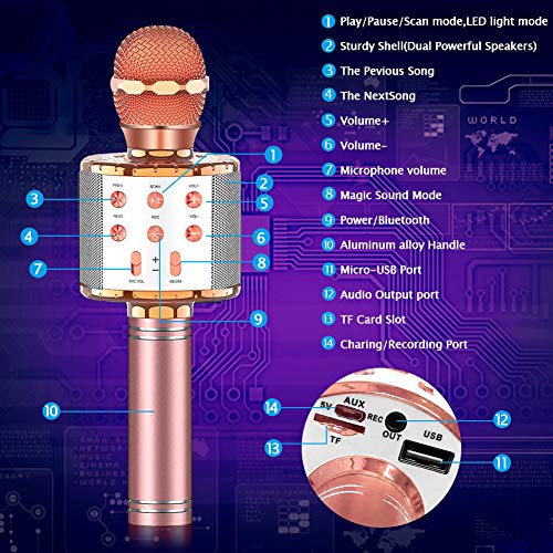 Saponhonix Microfono karaoke, microfono karaoke