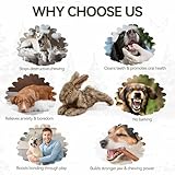 All For Paws Hundespielzeug Hase mit Quietschfunktion, 30 cm