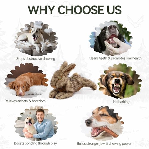 All For Paws Hundespielzeug Hase mit Quietschfunktion, 30 cm