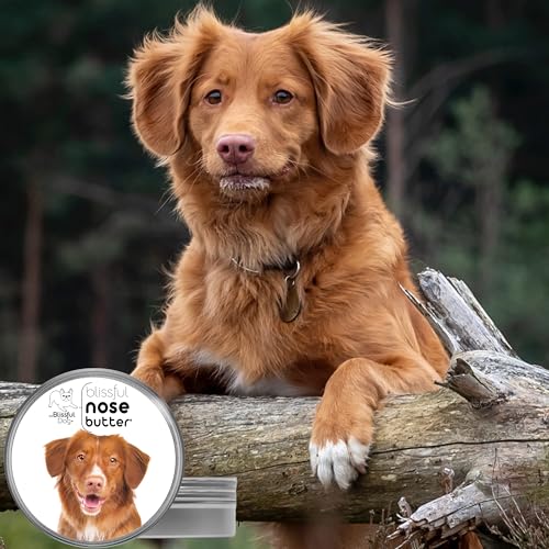 Image of The Blissful Dog Nova Scotia Duck Tolling Retriever Unscented Nose Butter - Dog Nose Butter, 8 Ounce