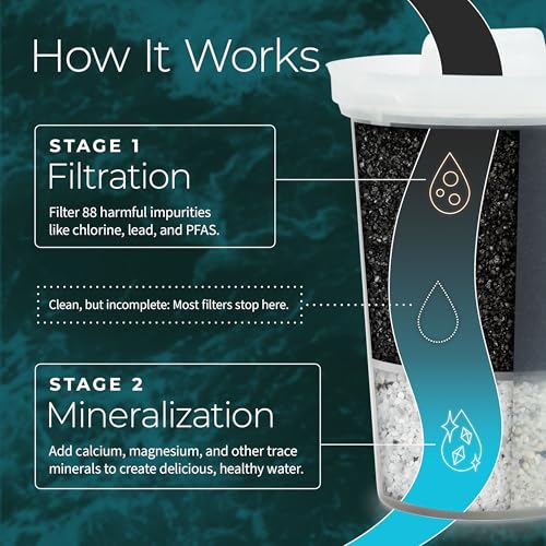 Filtro delgado para jarra de agua Santevia P471 MINA carbón activado 5