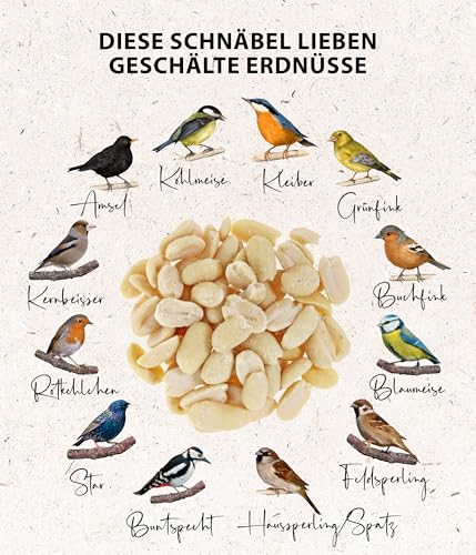 Dehner Natura Premium Wildvogelfutter, halbe / ganze Erdnüsse schalenfrei, Ganzjahresfutter proteinreich / energiereich, hochwertiges Vogelfutter für Wildvögel, 3.4 kg