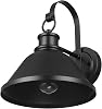 Globe Electric 60000011 1-Light Outdoor Wall Sconce, Matte Black, 10 Warehouse Shade, Gooseneck Stem, Porch Light, Wall Lighting, Patio Décor