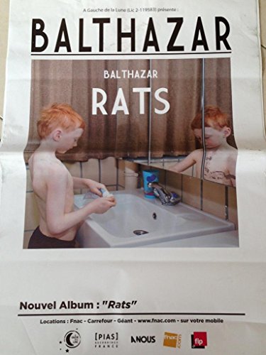 Affiche Rats Balthazar 70x100 cm | Grand poster mural décoratif pour salon