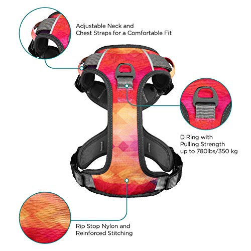 Embark Urban Dog Harness, Easy On and Off with Front and Back Leash Attachments & Control Handle - No Pull Training, Size Adjustable and Non Choke (Medium, Aurora)