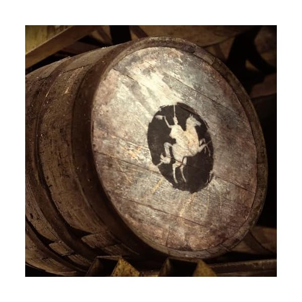Pampero Añejo Especial | Premium- Rum | Aromatischer Klassiker | handgefertigt aus Venezuela | 40% vol | 1000ml Einzelflasche | – Bild 6