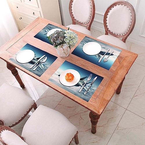 Set de table tissé PVC antidérapant et résistant à la chaleur 30x45cm - 3