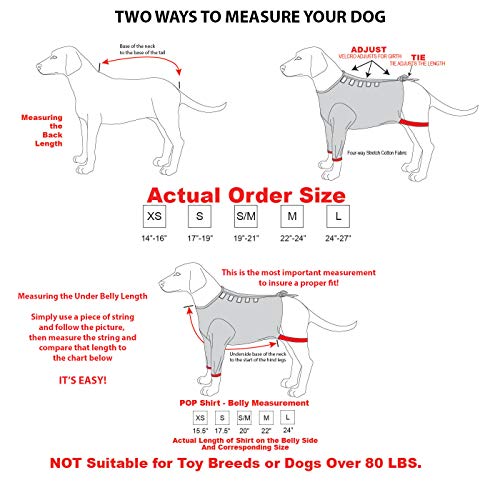 POPforPETS Post Operative Protection Shirt for Dogs (Medium) - POP for Pets Better Than The Cone! The Most Comfortable Alternative Shirt for Recovery!