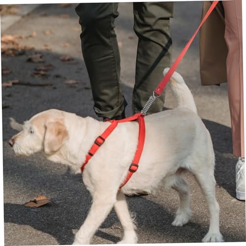 Laisse éducative pour chiens de absorption des chocs ressort