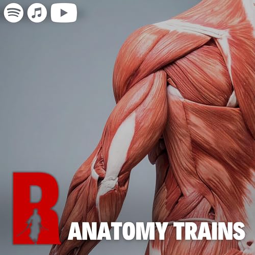 #154 Anatomy Trains - Smarter Training Through Fascia Podcast Por arte de portada