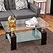 Tangkula Rectangle Glass Coffee Table, 2-Tier Tea Table w/Tempered Glass Tabletop & Stainless Steel Tube, Modern Center Side Table w/Wooden Legs & Lower Shelf, Glass End Table for Living Room