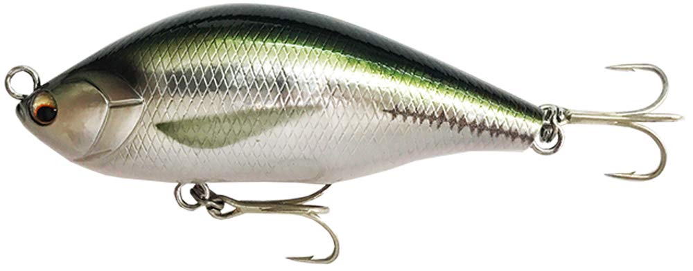 Rapala KNAJI AOG70SLM-KNAJI Pencil Bait, Air Oggle, SLM, Slalom, 2.8 inches (7 cm), 0.7 oz (21 g), Horse Mackerel (Kinuri)