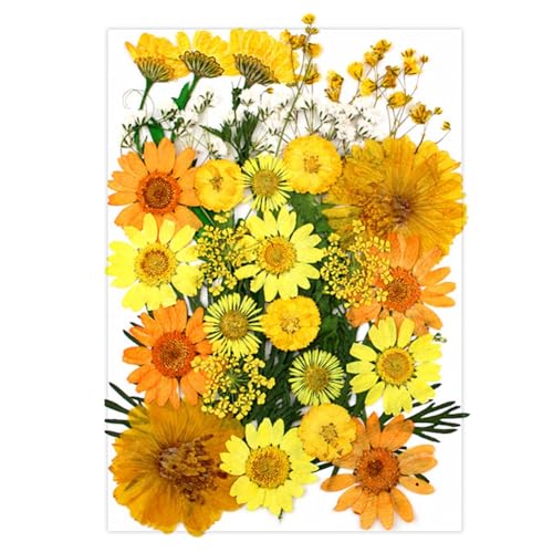 Dried Pressed Flowers for Resin Molds, Real Natural Bulk Dry Floral Leaves Embossing Kit for DIY Art Crafts, Epoxy Jewelry, Candle, Soap Making, Nails Decors Gifts, Specimens DIY Style 10