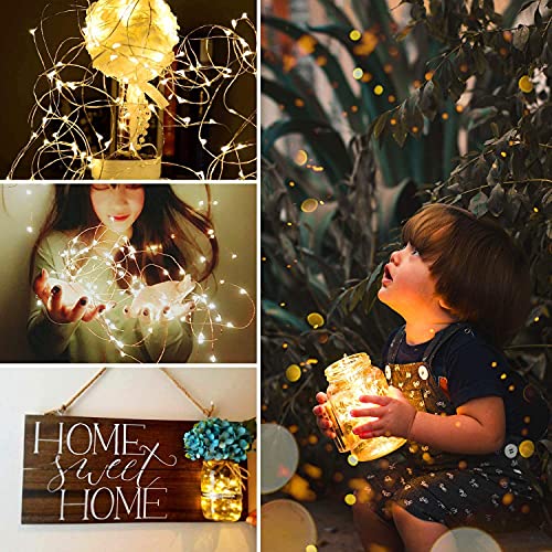 Usb Fairy String Lights With Switch And Power Adapter, 66 Feet 200 Led Firefly Lights For Bedroom Wall Ceiling Christmas Tree Wreath Craft Wedding Party Decoration, Warm White #TOP5
