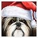 Christmas Shih Tzu Dog Round Metal 0.75