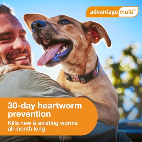 Advantage Multi Topical Solution for Dogs 6 Doses, 20.1-55 lbs (Red) - Thumbnail 5