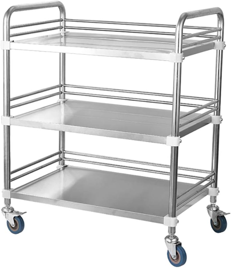Medical Trolley Cart Dental Lab Cart Stainless Steel, 2/3 Layers Hospital Equipment Portable Trolley On Wheels - Lab Serving Trolley(3 Layer-66X44X86Cm)