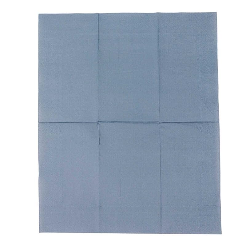BalsaCircle 50 Dusty Blue Plain Soft 2 Ply Dinner Table Cocktail Paper Napkins Wedding Party Events Reception Catering Decorations Supplies