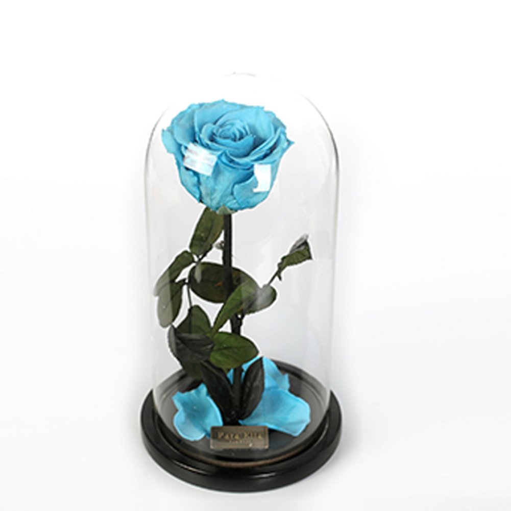 Fleur immortelle de roses sous verre éternelle pour exprimer un amour sincère et durable