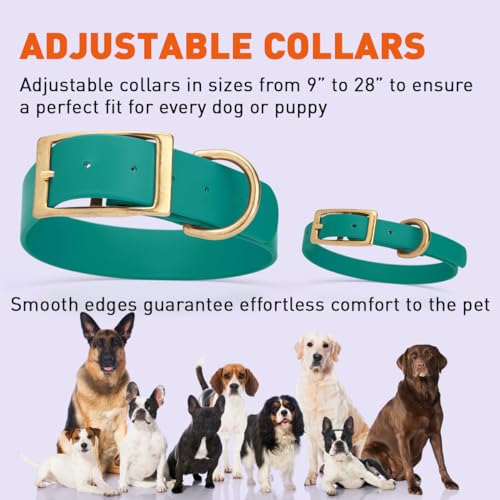 Image of Viper Biothane Heavy Duty Waterproof Dog Collar Strong Coated Nylon Webbing w /Solid Brass Hardware Odor-Proof Easy to Clean High Performance Fits Small Medium or Large Dogs, Blue Aqua