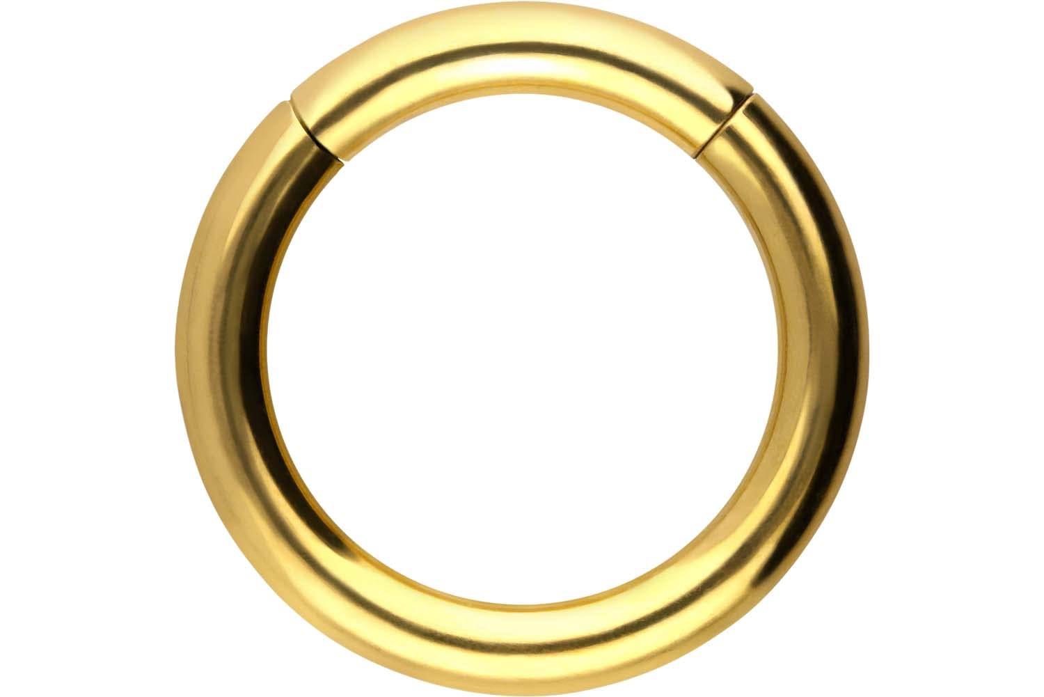 PIERCINGLINE Anillo segmento Clicker de acero quirúrgico – Piercing en oro, plata, rosa, negro o azul – para nariz, tabique, oreja, hélice o tragus — view 122
