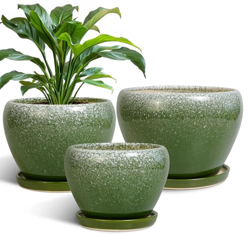 EPFamily Ceramic Pots for Plants 10 8 6 Inch Set