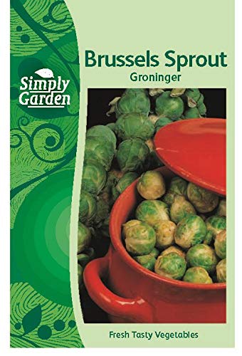 Brussels Sprout Groninger Seeds Vegetable Grow Your Own Garden