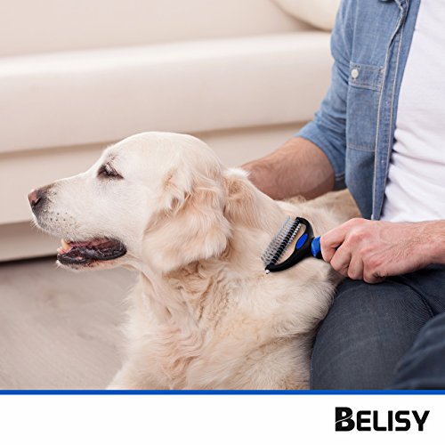 BELISY Spazzola per Cani/Gatti - Toelettatura Cani...