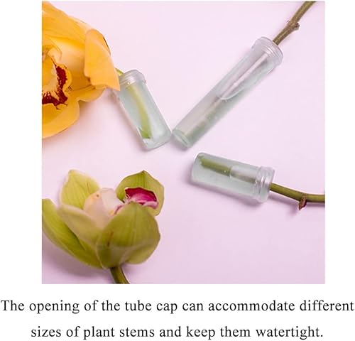 Miniatura 6 de HAHIYO 60 tubos florales de plástico transparente de 1.6 x 0.7 pulgadas, viales de flores con tapas de silicona para plantas, arreglos de flores