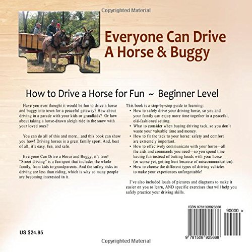Everyone Can Drive a Horse and Buggy: How to Drive a Horse for Fun - Beginner Level