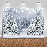 Mocsicka Winter Scene Backdrop...