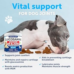 Glucosamine for Dogs – Hip and Joint Supplement for Dogs – 180 Chews – Glucosamine Chondroitin For Dogs, Turmeric, MSM – Dog Glucosamine Support – Dog Joint Pain Relief Health – Mobility Treats