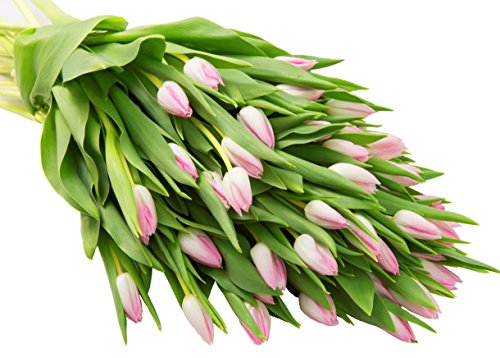 Image of KaBloom-50 Pink Tulip Bouquet,Flowers for Valentine, Mother's Day