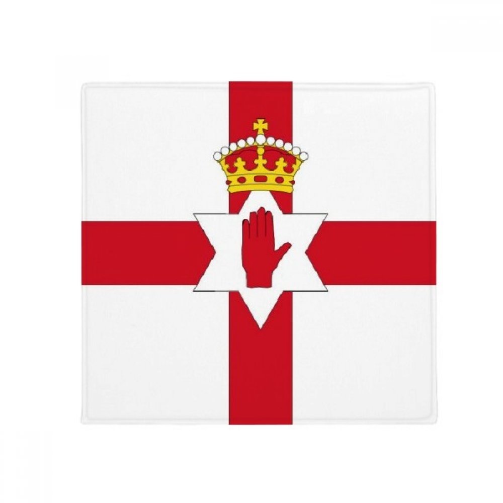 Tapis de cuisine Irlande du Nord antiderapant pour securiser le coin repas des animaux