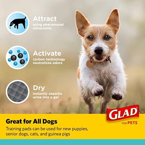 Glad for Pets Black Charcoal Puppy Pads - Super Absorbent Disposable Dog Pee Pads, Potty Training Pads, and Pet Supplies - Grey Dog Pee Pads for Crate Training and Indoor Use 44.5 cm x 59.7 cm - 120