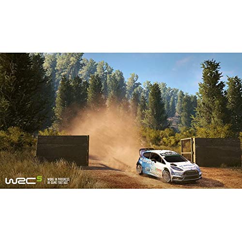 WRC 5 - vue 8