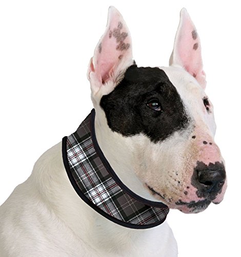 Aqua Coolkeeper Halsband Scottish Grey XL