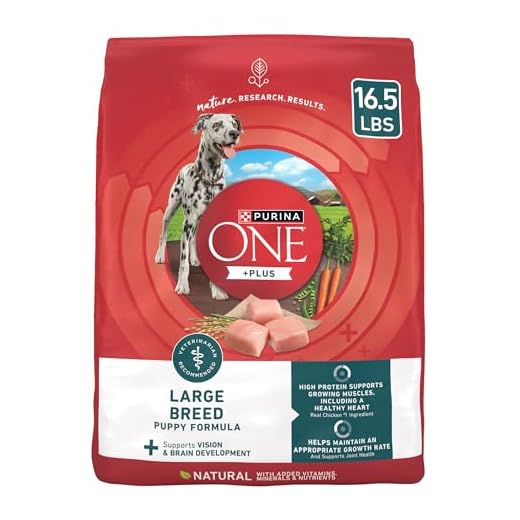 Purina ONE Plus Large Breed Puppy Food Dry Formula - 16.5 lb. Bag