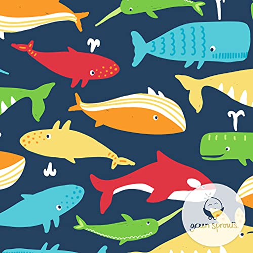 Pañales Y Toallitas Húmedas, Drugstore pañal nadar Marca green sprouts (2)