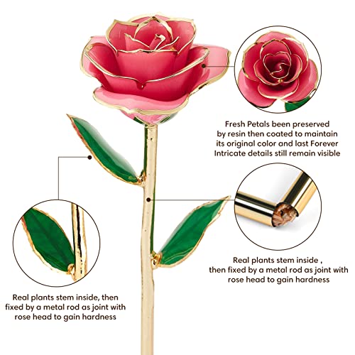Image of Anthonic Gold Dipped Infinity Rose Last Forever Flower Decor, Birthday Gift for Women in Her Birthday Valentines Day Mothers Day, Resin Preserved Rose | Anniversary Present for Mom (Pink)