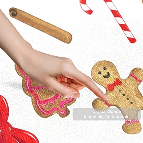 Alfombrilla lavable resistente con estampado de Navidad para proteger el suelo de tu recibidor 4