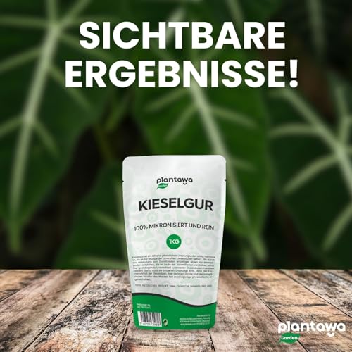 PLANTAWA Kieselgur Pulver 1kg | Hochwertiges Diatomeenerde für den Gemüsegarten, Schädlingsbekämpfung, Saatgutkonservierung | Nachhaltig und Rein, Verpackung kann variieren