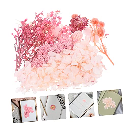 Flores Secas Mini Naturales 50 Piezas para Manualidades miniatura 4