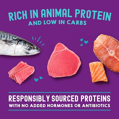 Stella & Chewy's Carnivore Cravings Wet Cat Food - Premium Pouches - Grain Free, High Protein Salmon, Tuna & Mackerel - Perfect For Picky Eaters - Complete Meal or Topper (2.8 oz, 24 Pack) - image 4