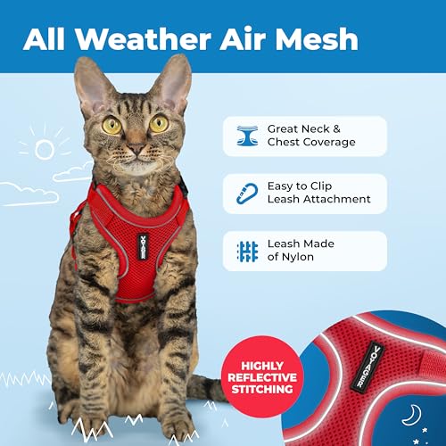 Image of Voyager Escape-Proof Step-in Lock Cat Harness & 5ft Neoprene-Handle Leash Set All-Weather Mesh with Reflective Stitching for Small to Large Cats by Best Pet Supplies, Red (327), XS