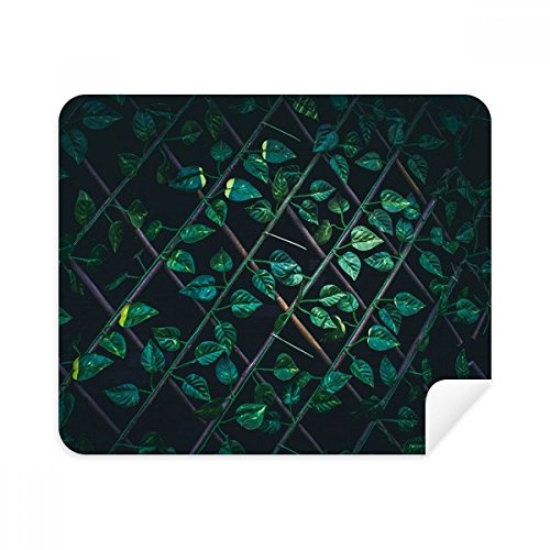 Nettoyeur écran de téléphone portable en voyage - Chiffon lunettes motif nature 2Pcs