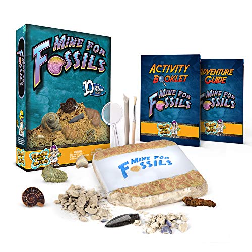 Discover with Dr. Cool Mine for Fossils Dig Kit - Excavate 15 Real Fossil Specimens