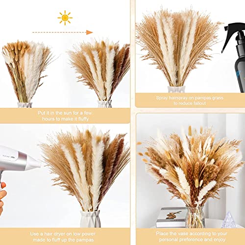 Ramo Grande de 110 Unidades de Hierba Pampas Secas Naturales miniatura 4