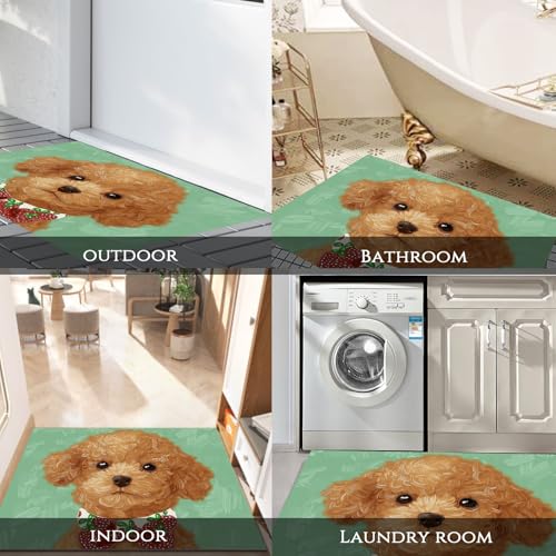 Tapis entrée intérieur antidérapant animaux mignons lavable - 8